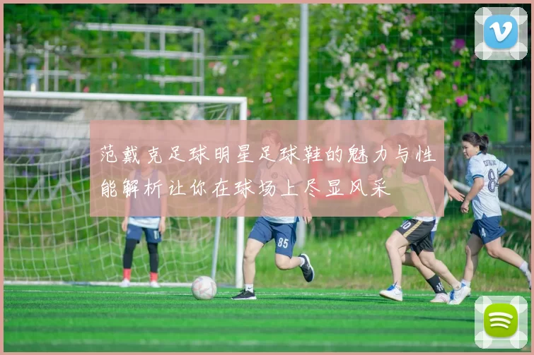 范戴克足球明星足球鞋的魅力与性能解析让你在球场上尽显风采