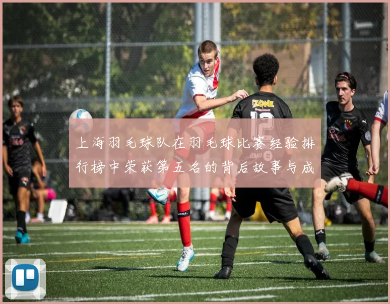 上海羽毛球队在羽毛球比赛经验排行榜中荣获第五名的背后故事与成就分析