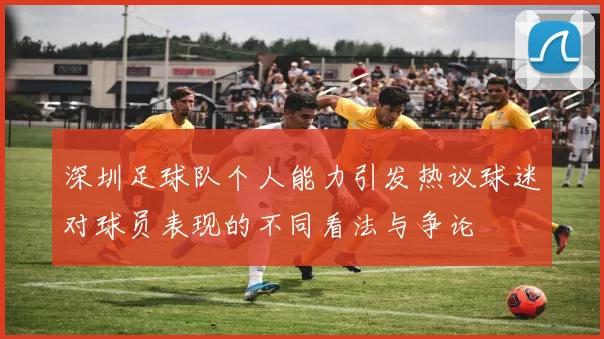 深圳足球队个人能力引发热议球迷对球员表现的不同看法与争论