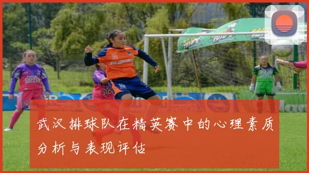 武汉排球队在精英赛中的心理素质分析与表现评估