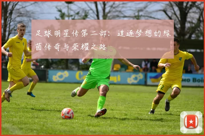 足球明星传第二部：追逐梦想的绿茵传奇与荣耀之路