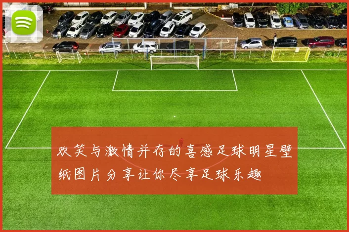 欢笑与激情并存的喜感足球明星壁纸图片分享让你尽享足球乐趣