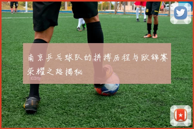 南京乒乓球队的拼搏历程与欧锦赛荣耀之路揭秘