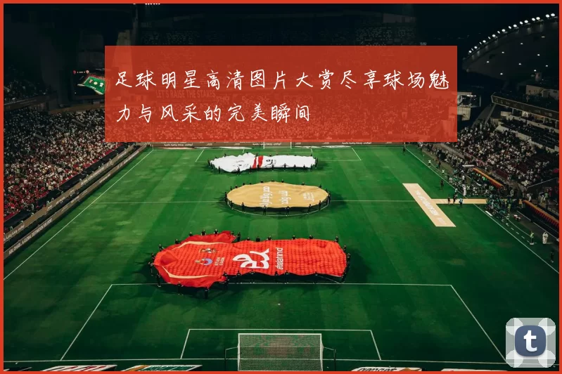 足球明星高清图片大赏尽享球场魅力与风采的完美瞬间