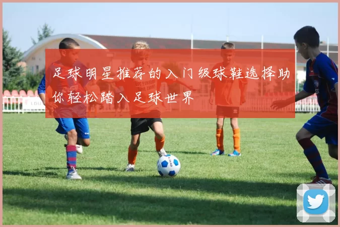 足球明星推荐的入门级球鞋选择助你轻松踏入足球世界