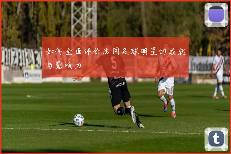 如何全面评价法国足球明星的成就与影响力