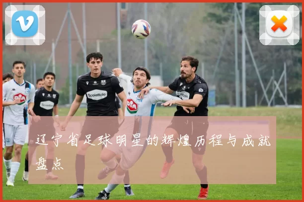 辽宁省足球明星的辉煌历程与成就盘点