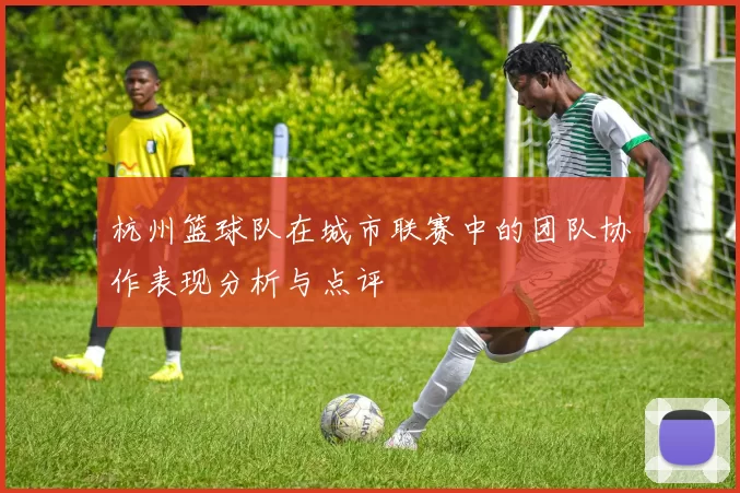 杭州篮球队在城市联赛中的团队协作表现分析与点评