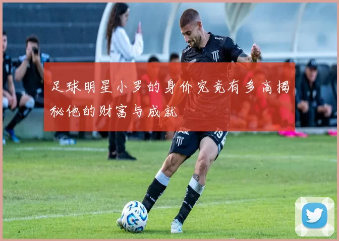 足球明星小罗的身价究竟有多高揭秘他的财富与成就