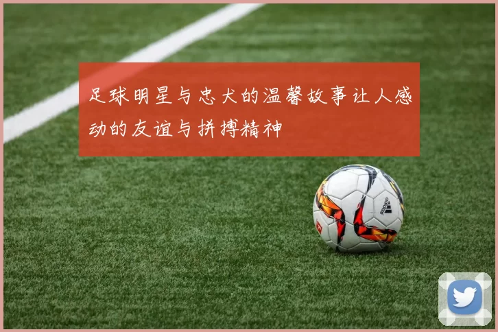 足球明星与忠犬的温馨故事让人感动的友谊与拼搏精神