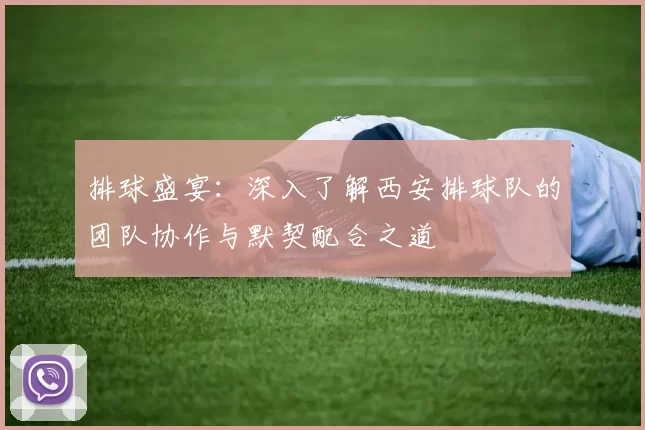 排球盛宴：深入了解西安排球队的团队协作与默契配合之道