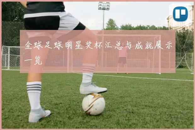全球足球明星奖杯汇总与成就展示一览