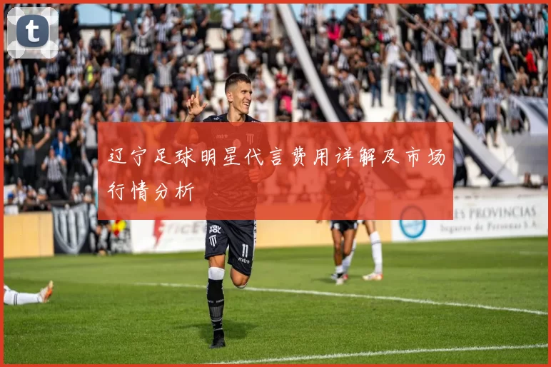 辽宁足球明星代言费用详解及市场行情分析